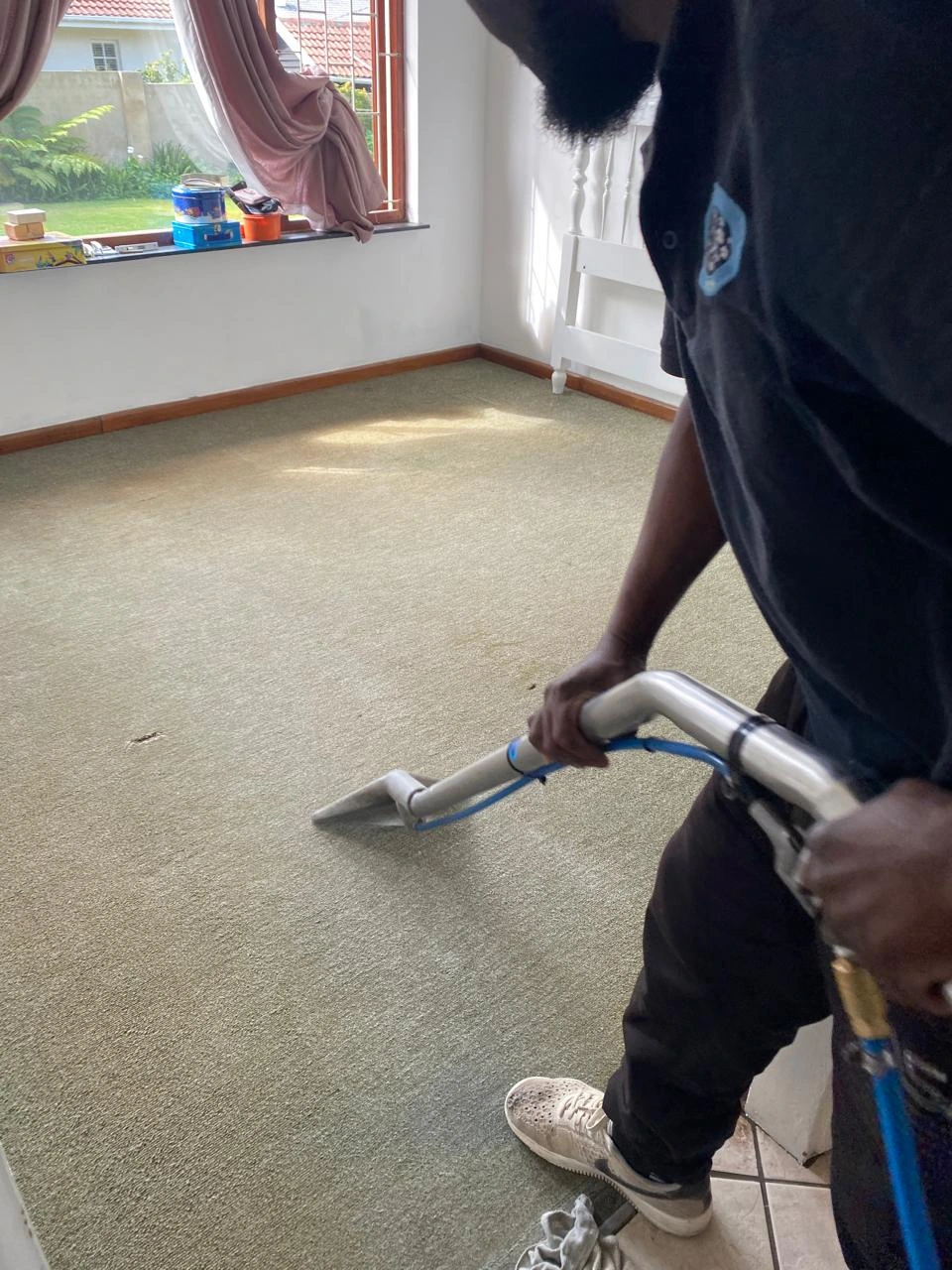Professional Carpet Cleaning