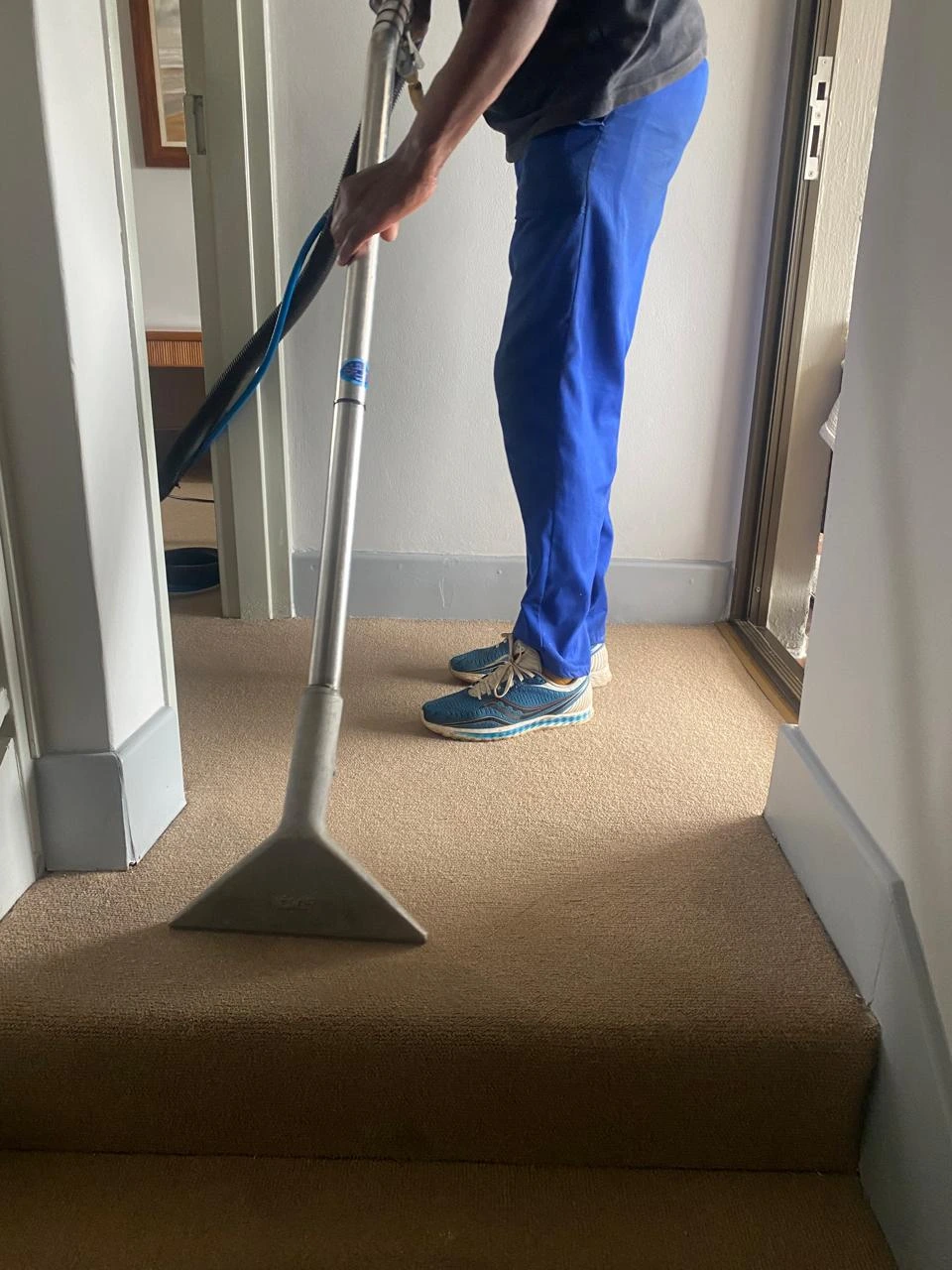 Fresh Clean Carpets